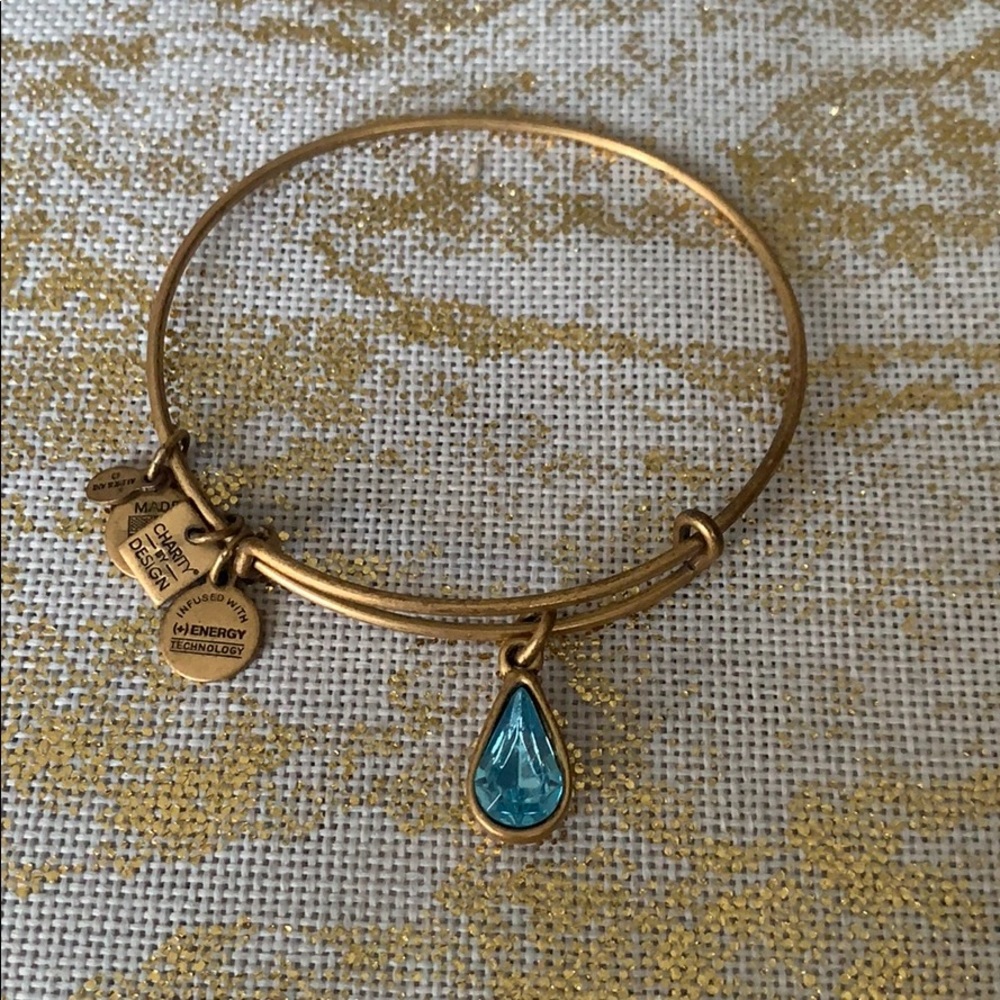 Alex and Ani Charm Bangle - Charity by Design